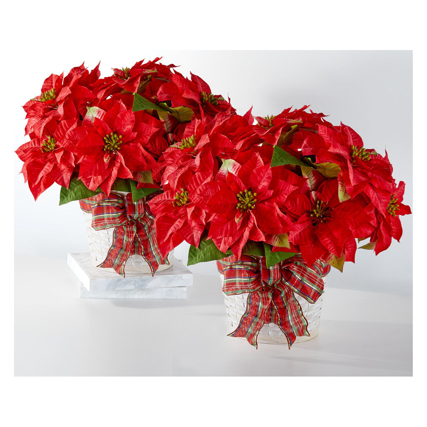 Happiest Holidays Poinsettia Bundle