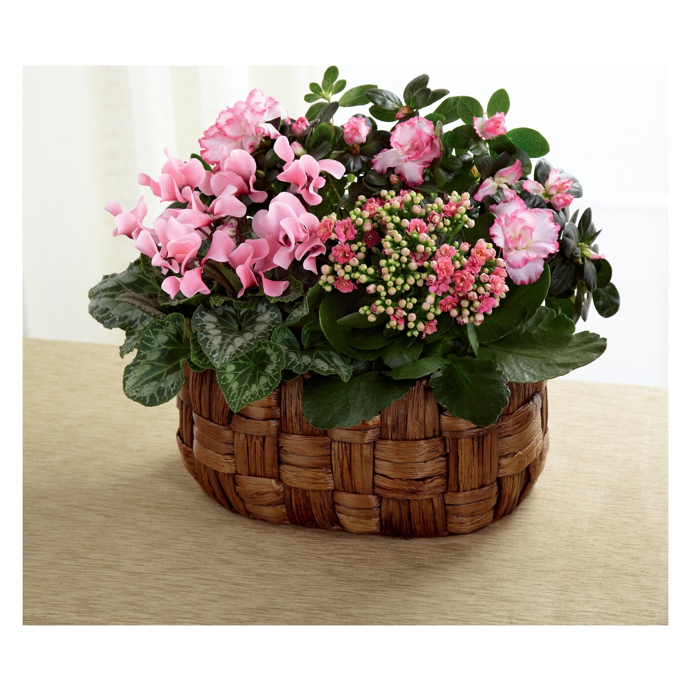 Pink Assortment