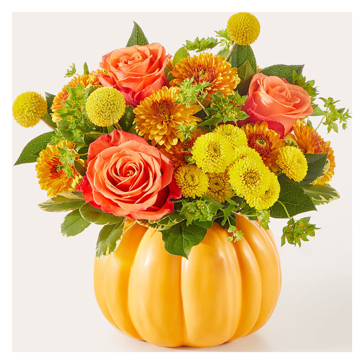 Gourdgeous Pumpkin