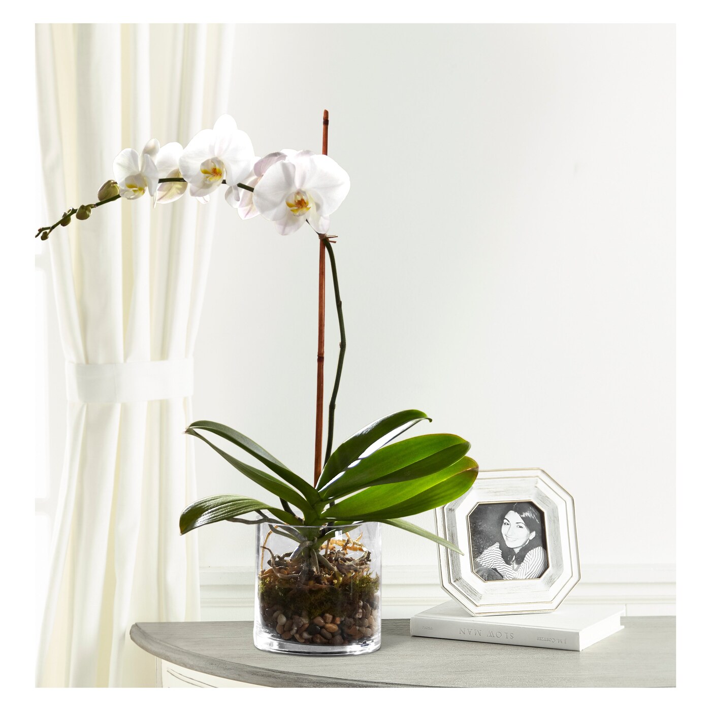 White Orchid Planter