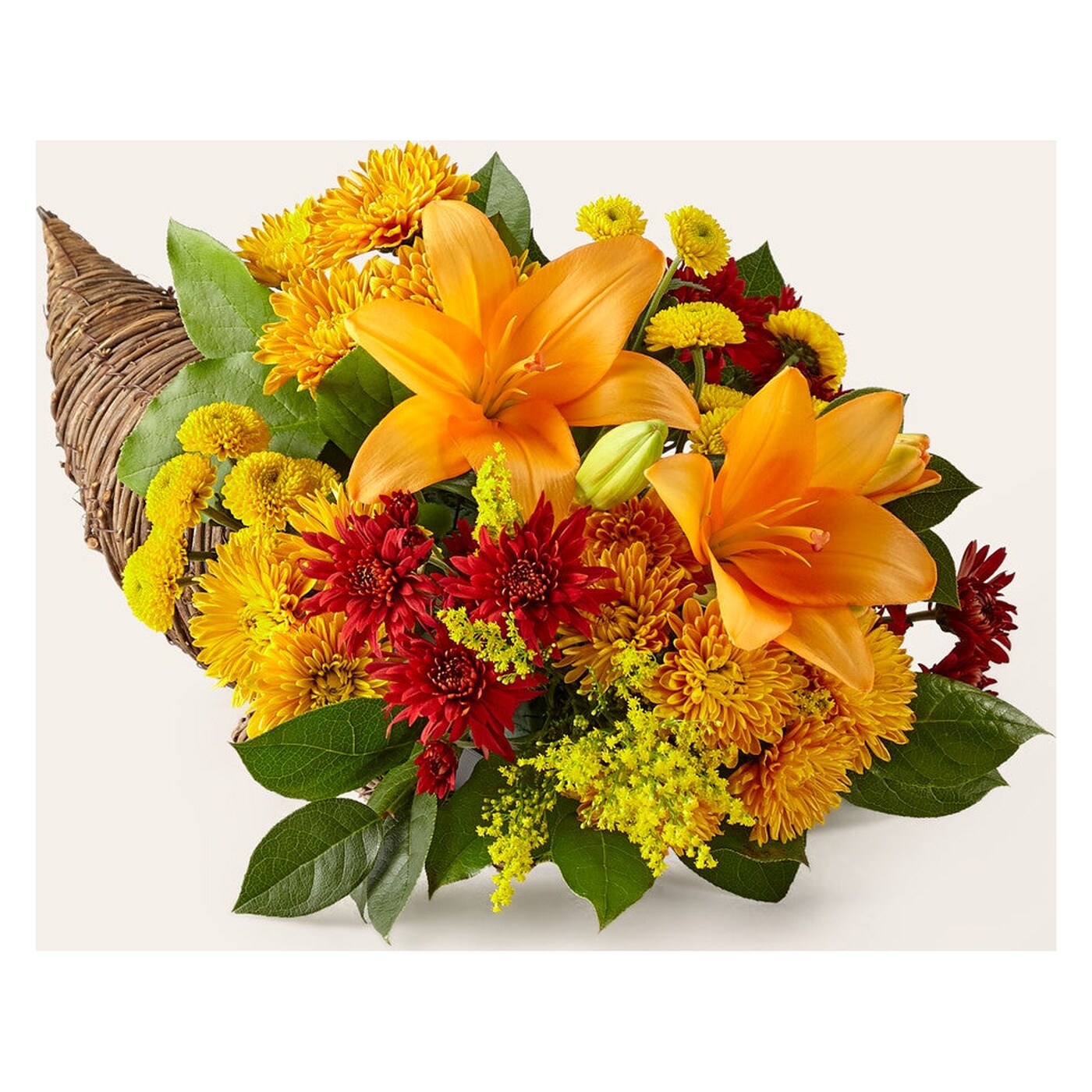 Feast of Color Cornucopia