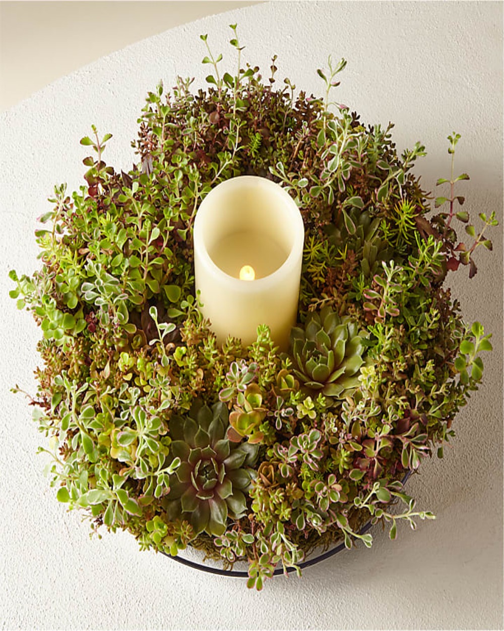 Living Succulent Wreath & Ivory Candle