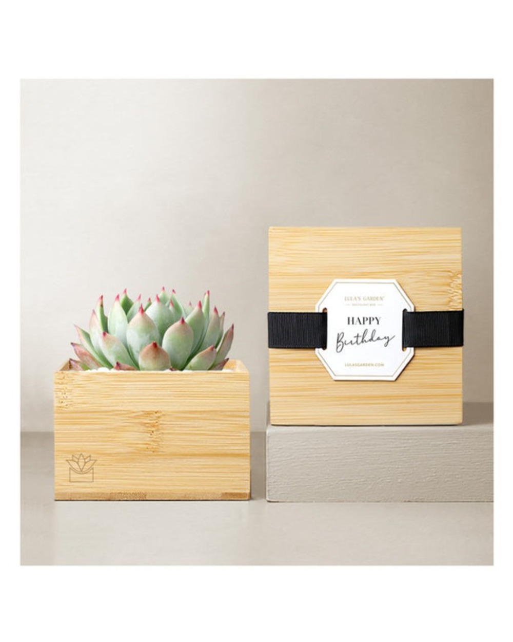 Lula's Garden Bamboo Bliss - Happy Birthday