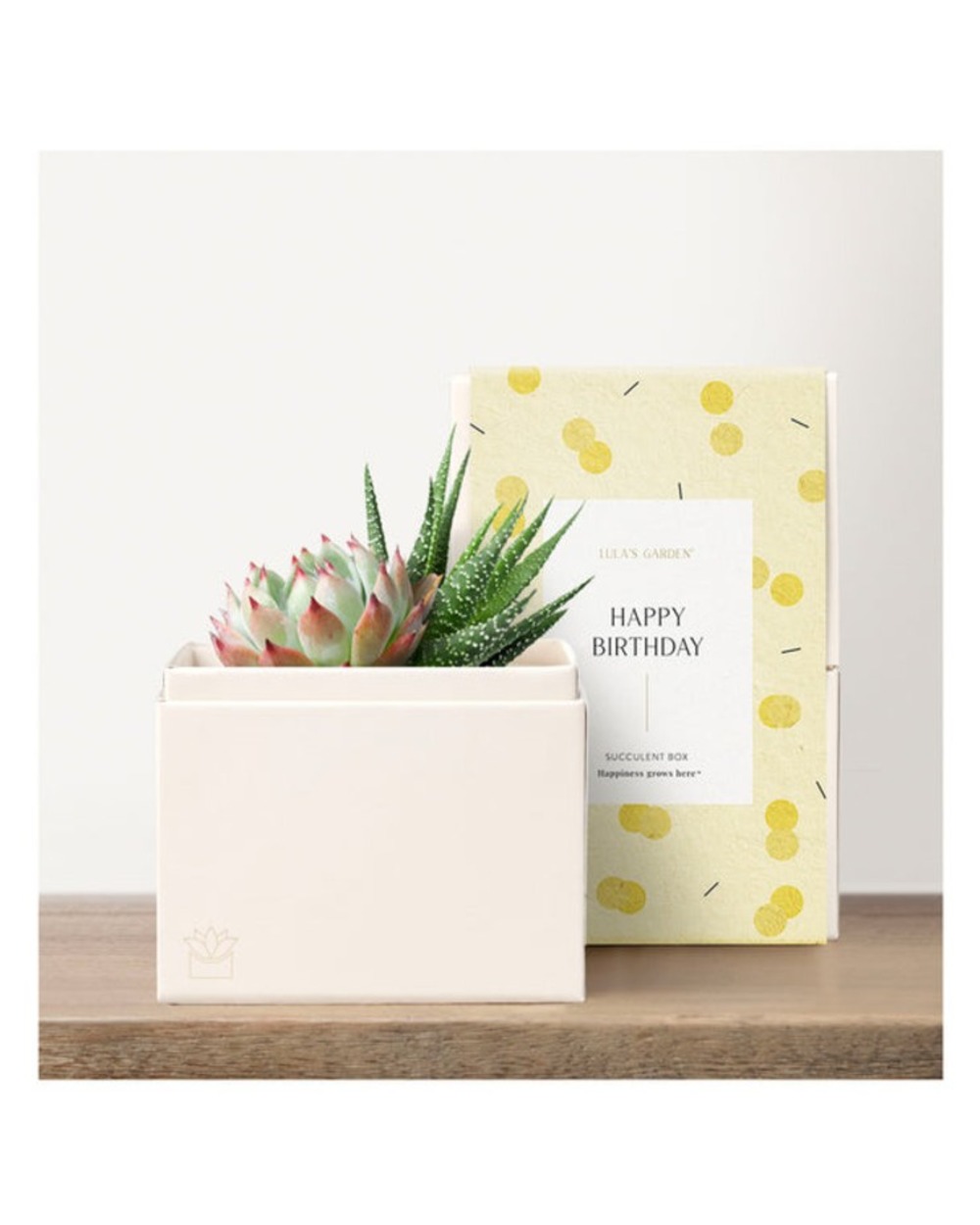 Lula's Petite Glow Garden - Happy Birthday
