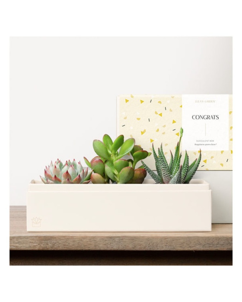 Lula's Deluxe Jewel Garden - Congrats