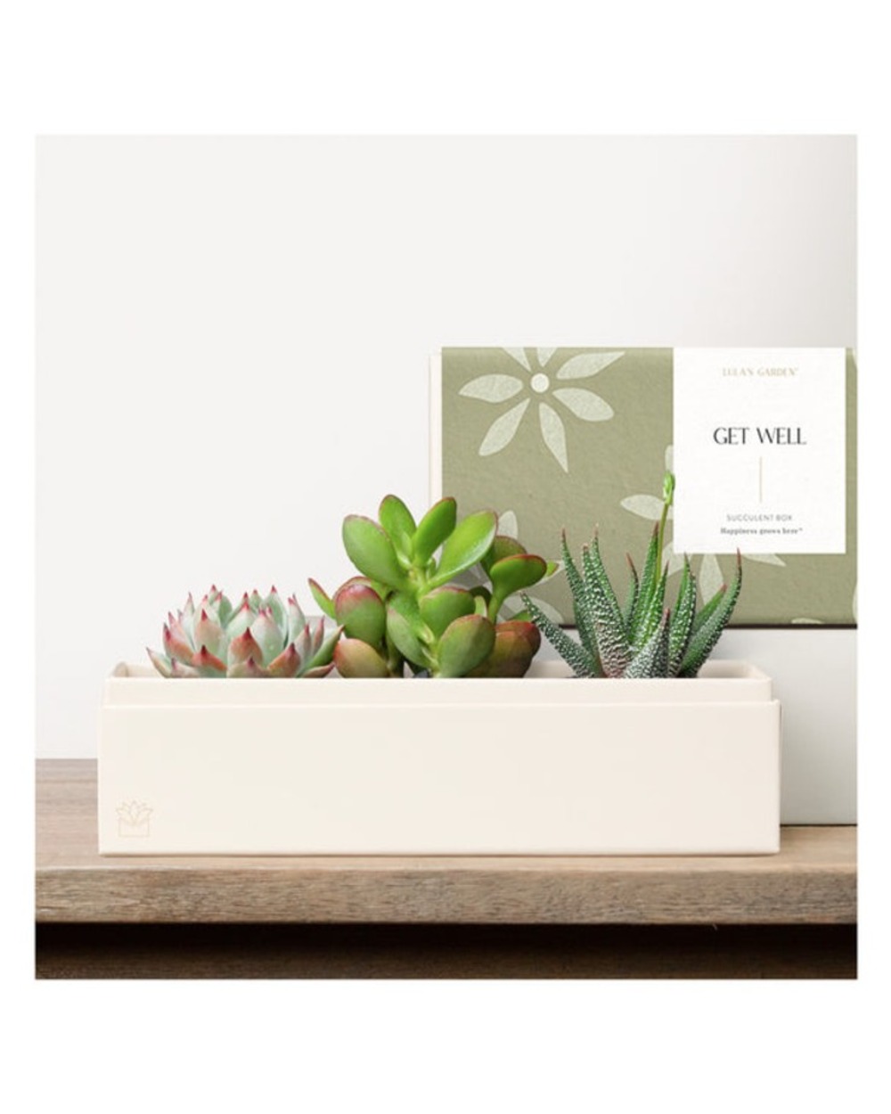 Lula's Deluxe Jewel Garden - Get Well