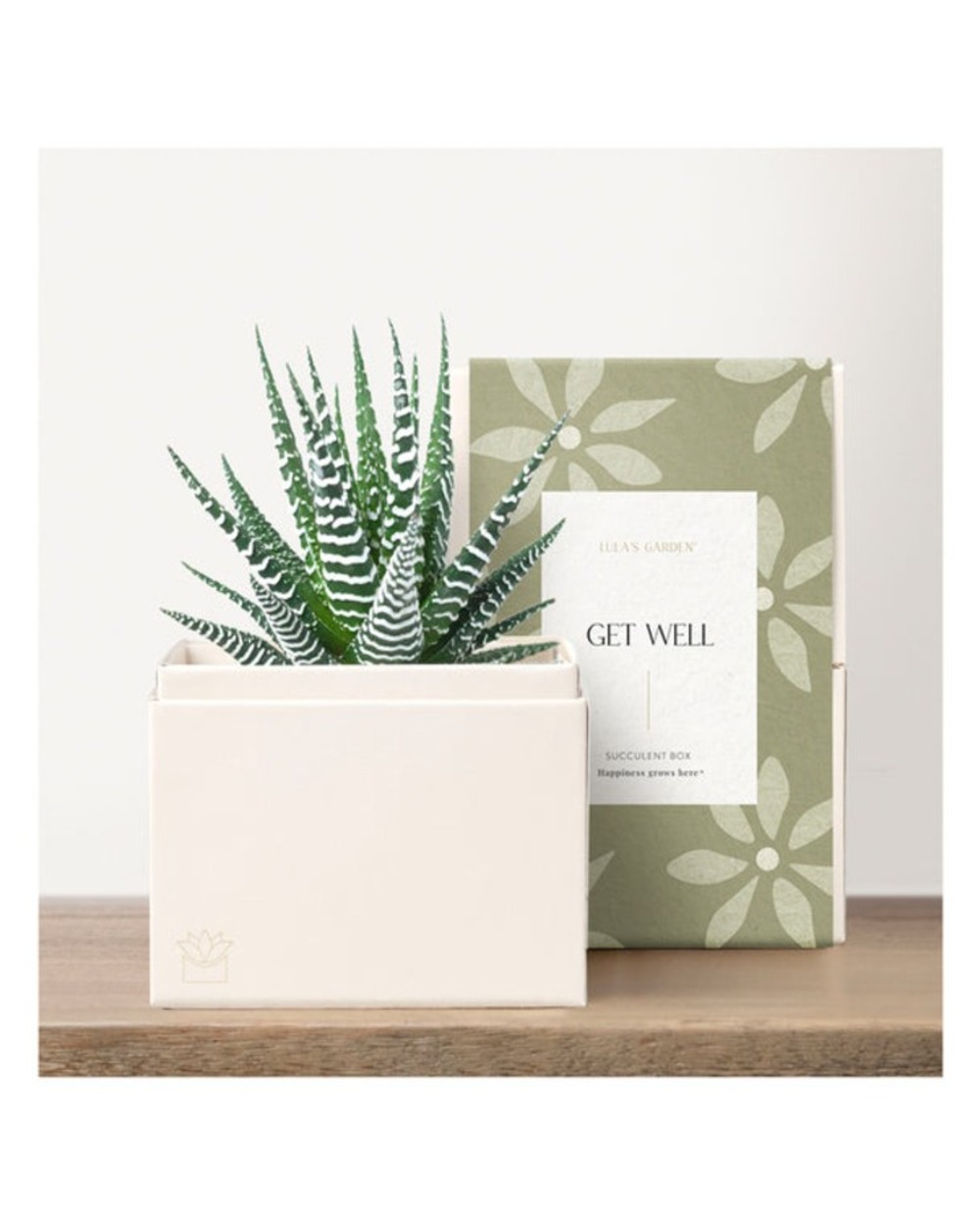 Lula's Petite Zebra Garden - Get Well