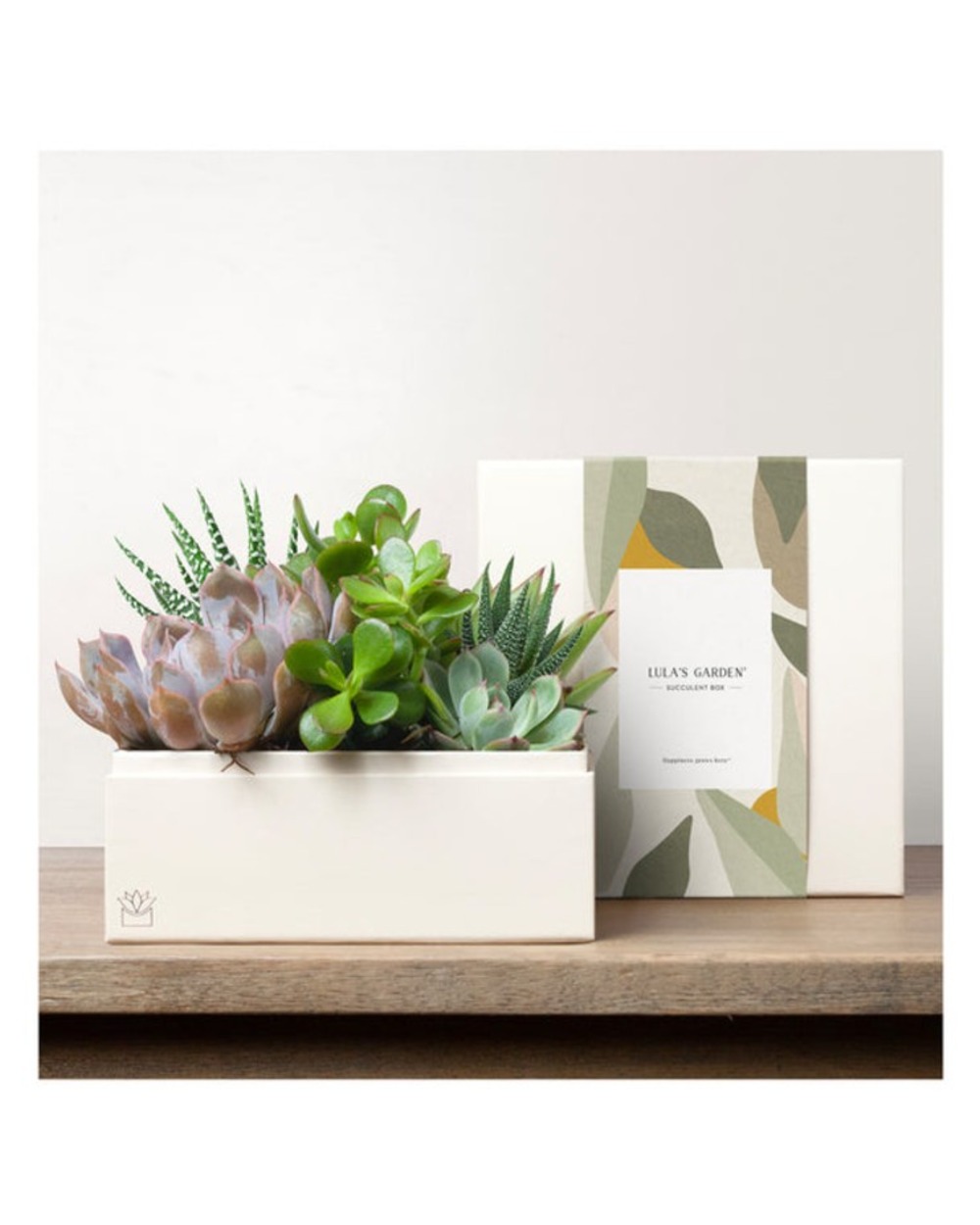 Lula's Premium Urban Garden
