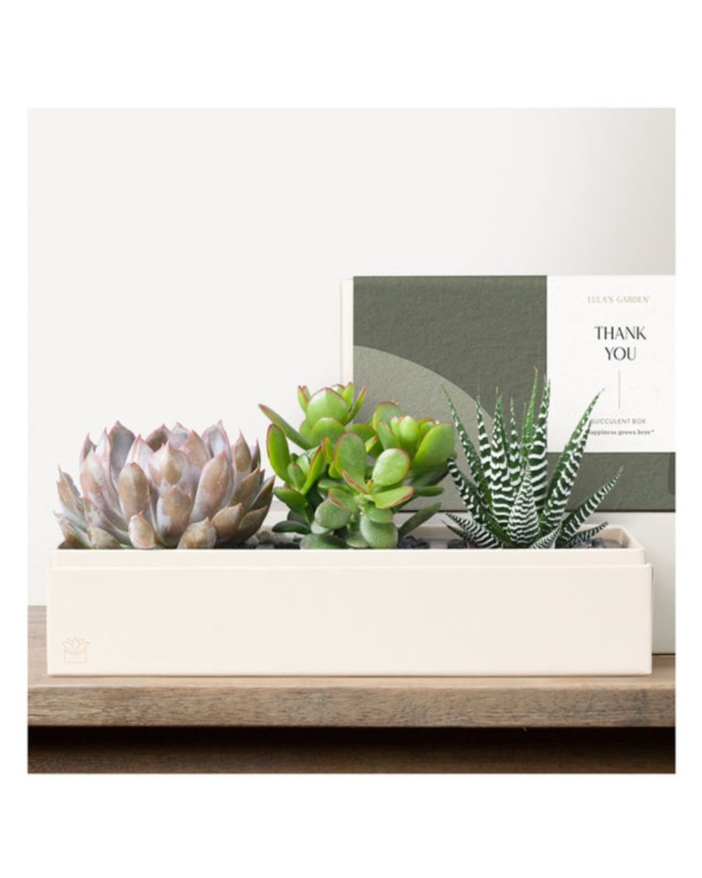 Lula's Deluxe Verdant Garden - Thank You