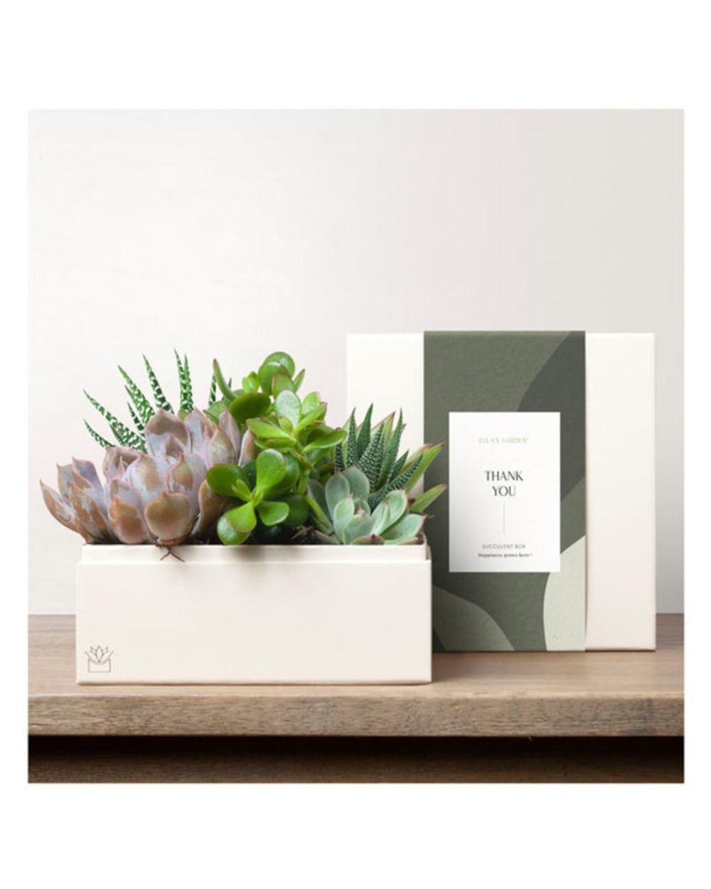 Lula's Premium Urban Garden - Thank You