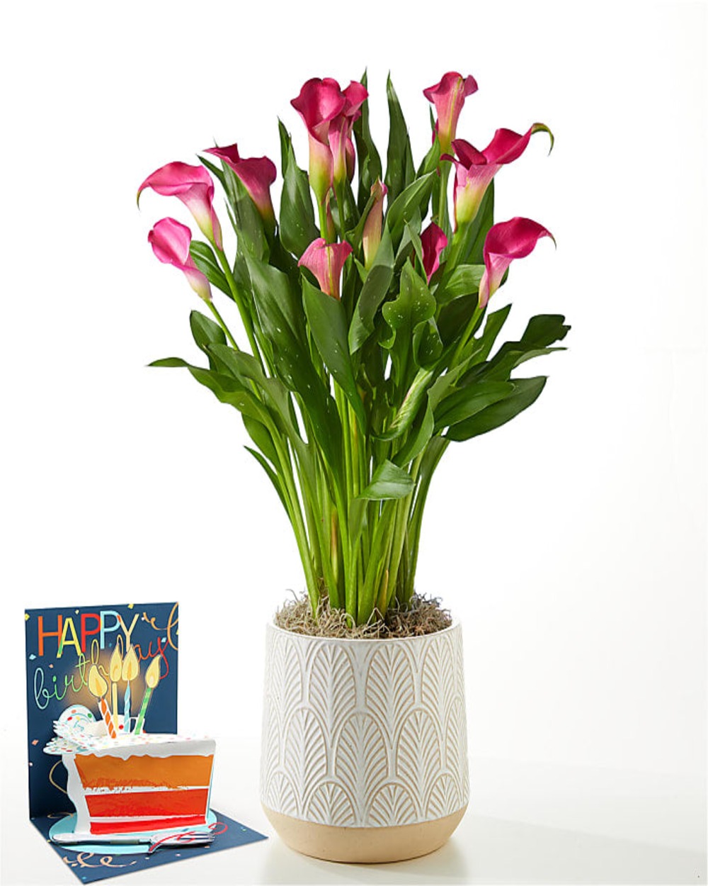Pink Calla Lily Plant & Birthday Pop Up Card