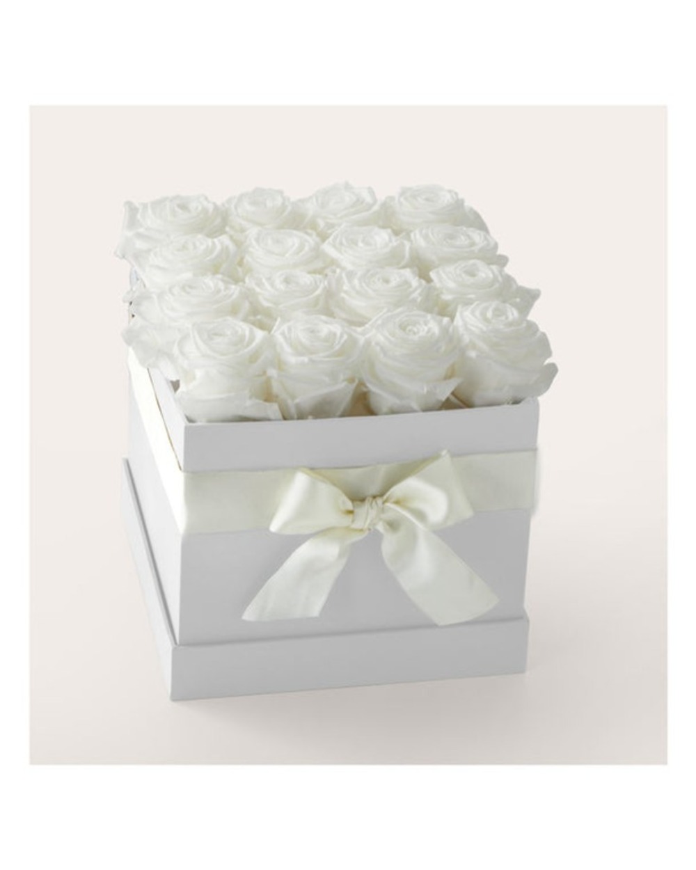 White Forever Roses - 16 Preserved Roses
